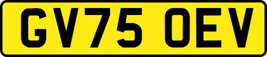 GV75OEV