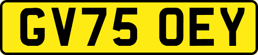 GV75OEY