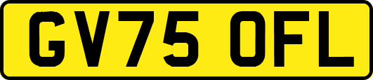 GV75OFL