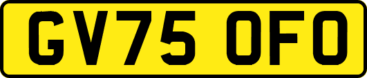 GV75OFO