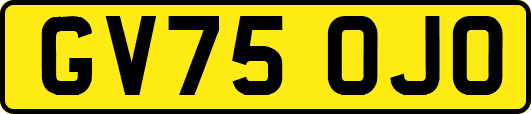 GV75OJO