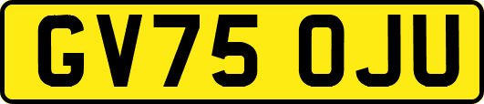 GV75OJU