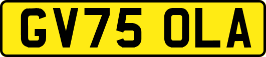 GV75OLA