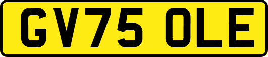 GV75OLE