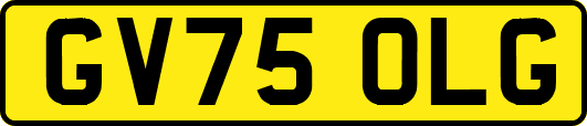 GV75OLG
