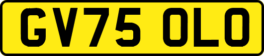 GV75OLO