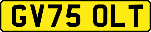 GV75OLT