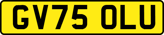GV75OLU