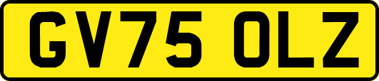 GV75OLZ