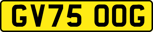 GV75OOG
