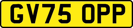 GV75OPP