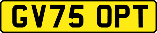 GV75OPT