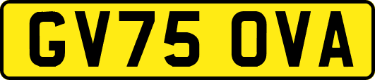 GV75OVA