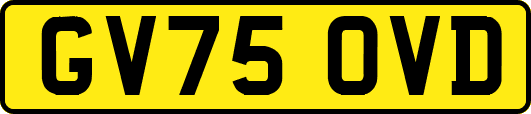 GV75OVD
