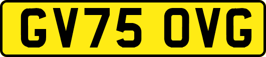 GV75OVG