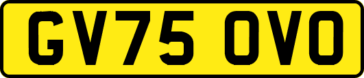 GV75OVO