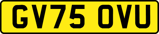 GV75OVU