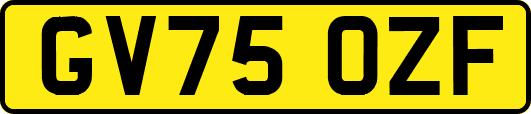 GV75OZF