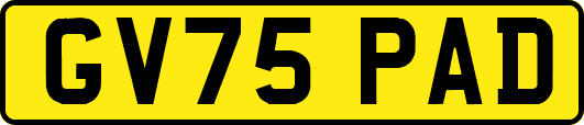 GV75PAD