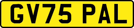 GV75PAL