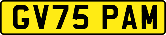 GV75PAM