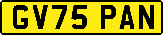 GV75PAN