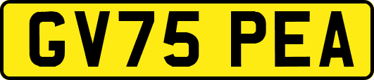 GV75PEA