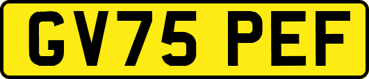 GV75PEF