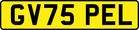 GV75PEL