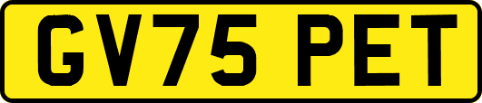 GV75PET