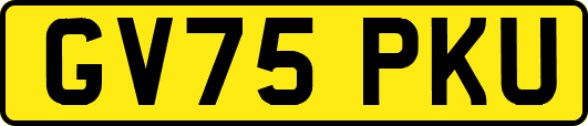 GV75PKU