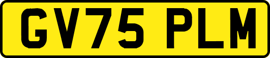 GV75PLM