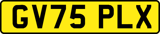 GV75PLX
