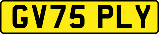 GV75PLY