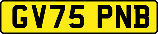 GV75PNB