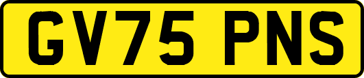 GV75PNS