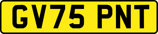 GV75PNT