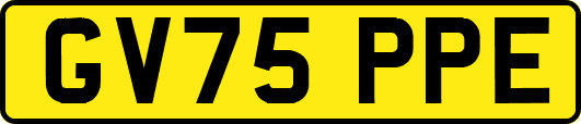 GV75PPE