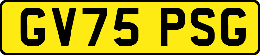 GV75PSG