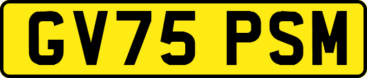 GV75PSM