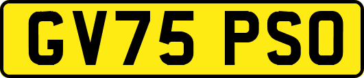 GV75PSO