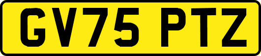 GV75PTZ