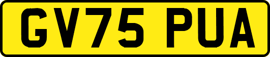 GV75PUA