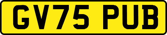 GV75PUB