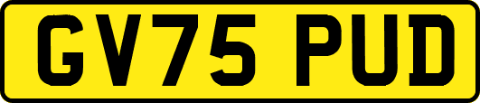 GV75PUD