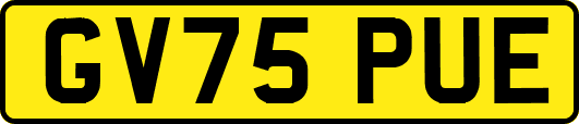 GV75PUE