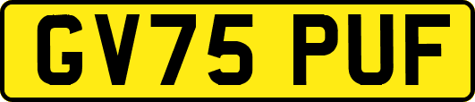 GV75PUF