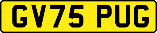 GV75PUG