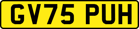 GV75PUH