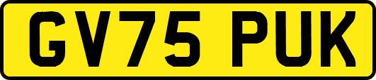 GV75PUK